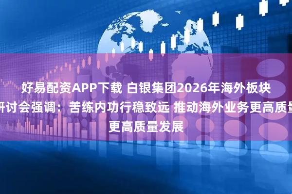 好易配资APP下载 白银集团2026年海外板块工作研讨会强调：苦练内功行稳致远 推动海外业务更高质量发展